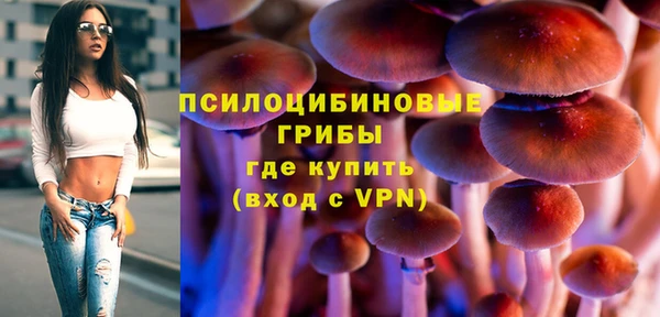 спайс Алексеевка