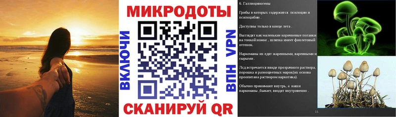 цены наркотик  Яровое  Псилоцибиновые грибы MAGIC MUSHROOMS 